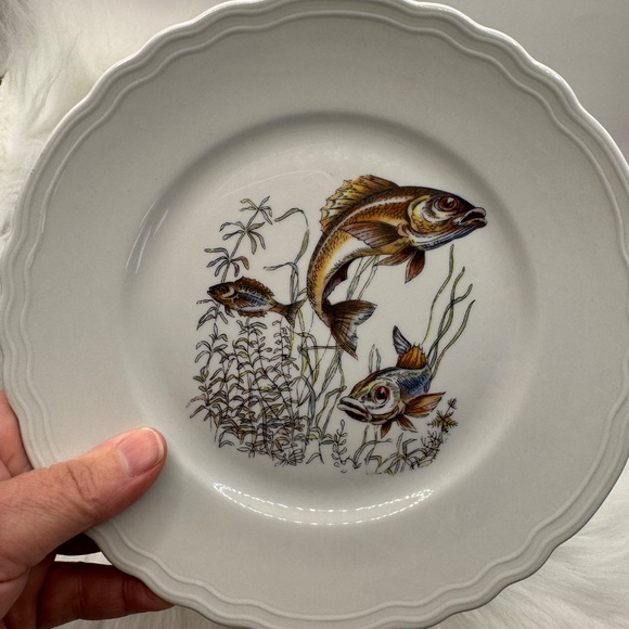 Set of 5 Italian R Porcellana 7.5" salad plates. Fish themed MCM dinnerware EUC - Picture 7 of 10